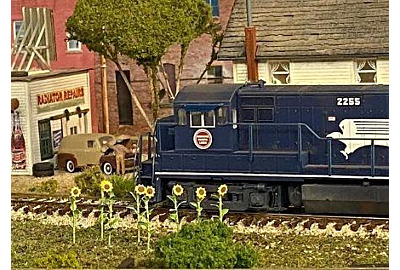 Sunflowers, speed tests, and night trains